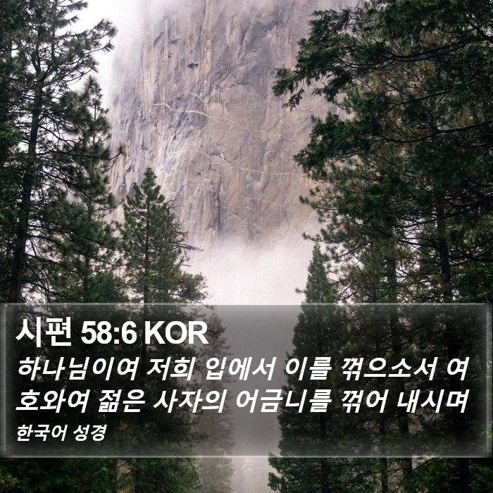 시편 58:6 KOR Bible Study