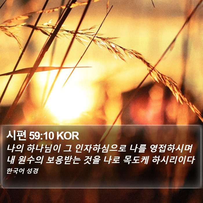 시편 59:10 KOR Bible Study