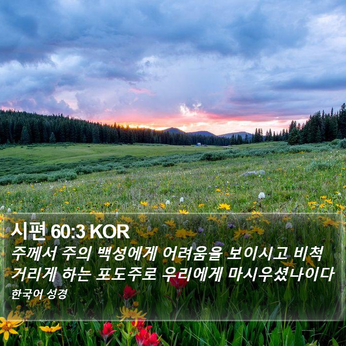 시편 60:3 KOR Bible Study