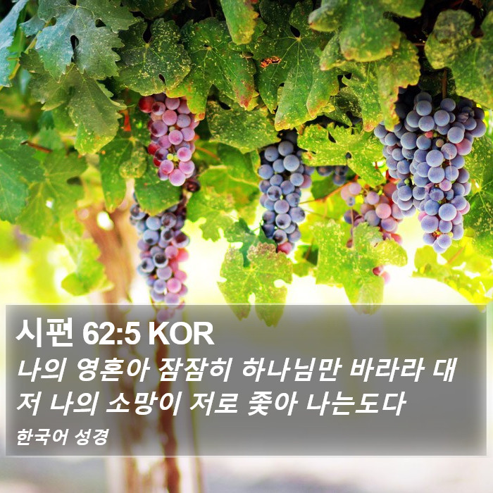 시편 62:5 KOR Bible Study