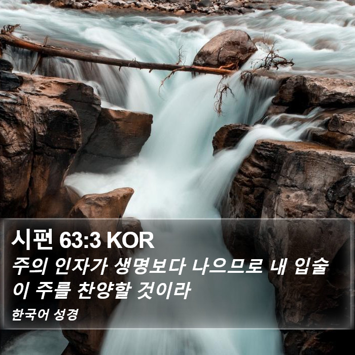 시편 63:3 KOR Bible Study