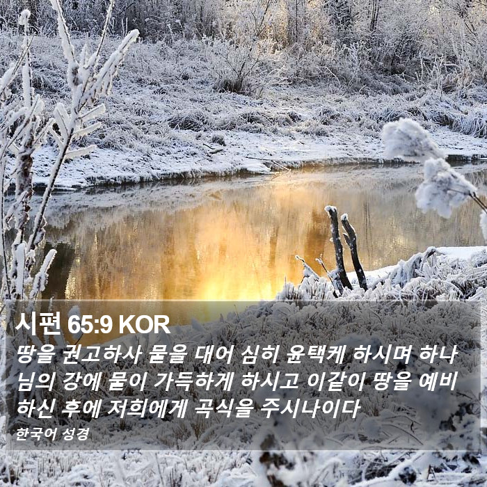 시편 65:9 KOR Bible Study