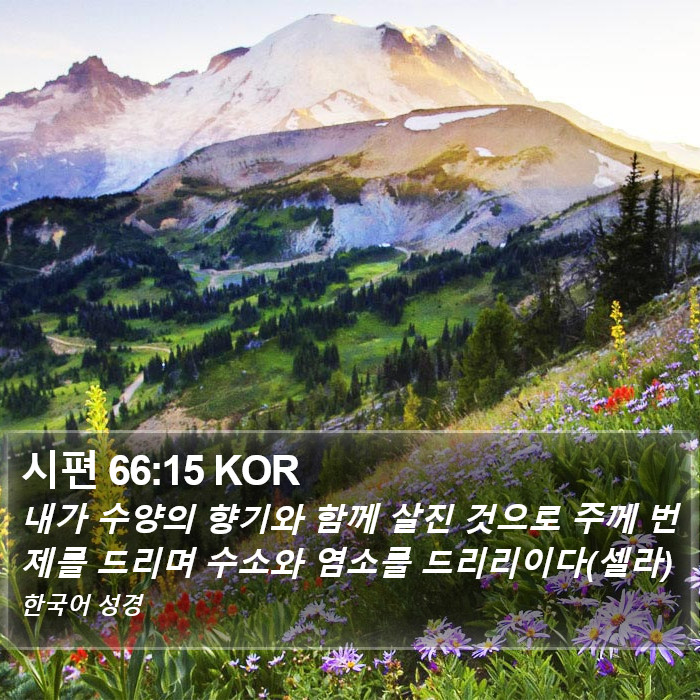 시편 66:15 KOR Bible Study