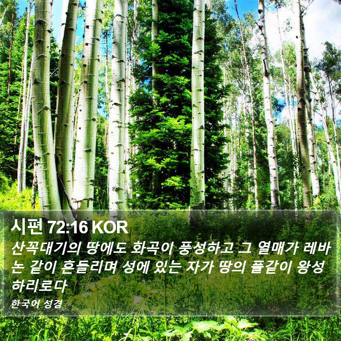 시편 72:16 KOR Bible Study