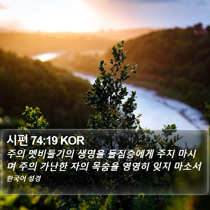 시편 74:19 KOR Bible Study