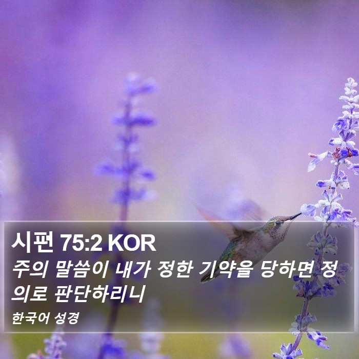 시편 75:2 KOR Bible Study