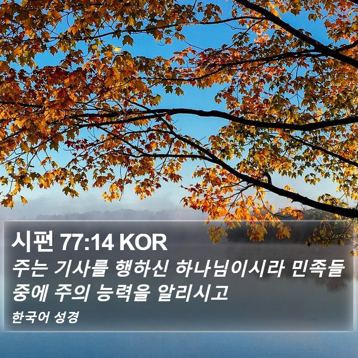 시편 77:14 KOR Bible Study