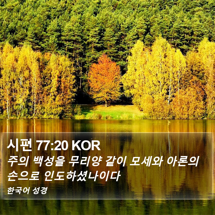 시편 77:20 KOR Bible Study