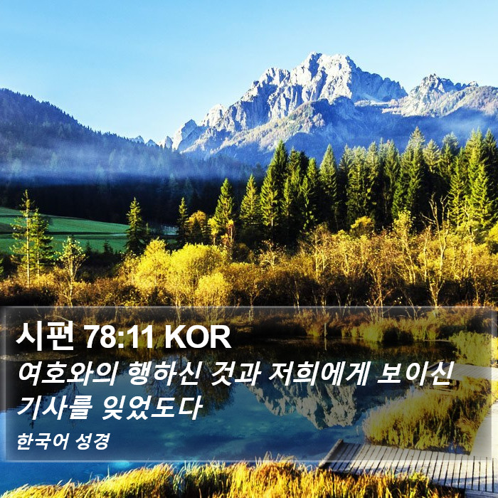 시편 78:11 KOR Bible Study