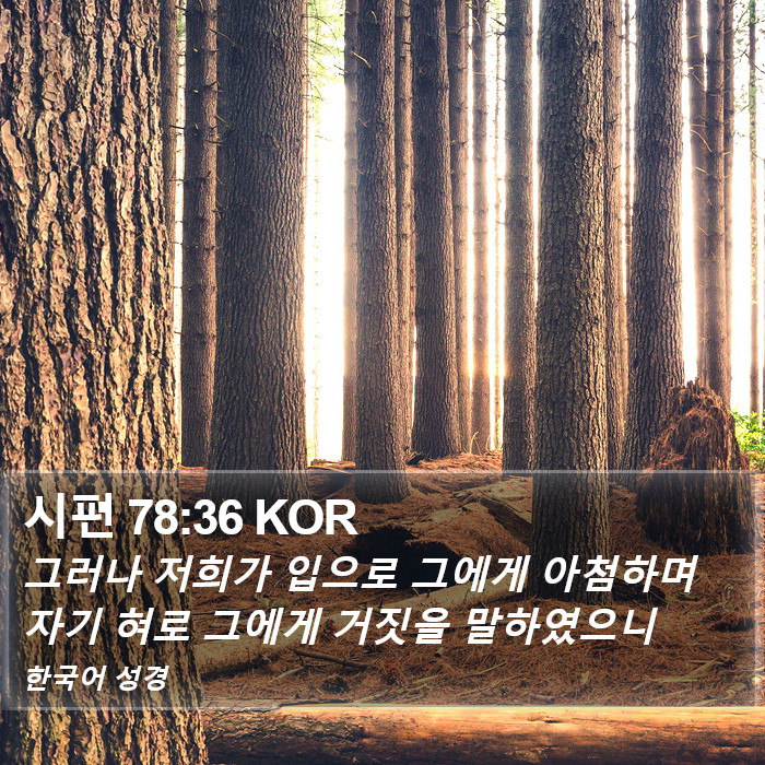 시편 78:36 KOR Bible Study