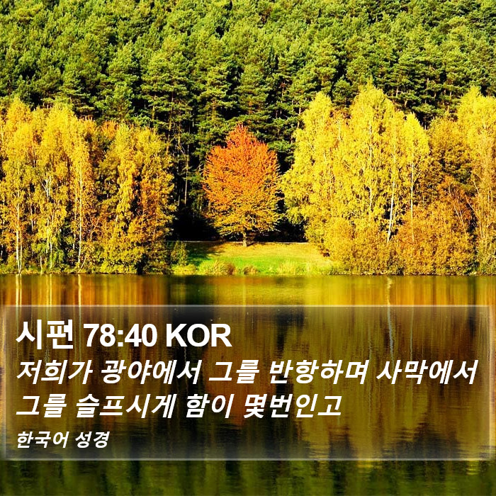 시편 78:40 KOR Bible Study