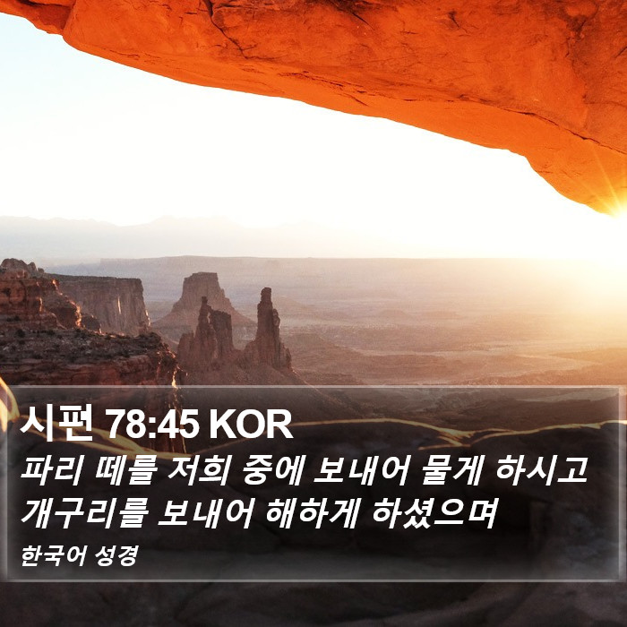 시편 78:45 KOR Bible Study