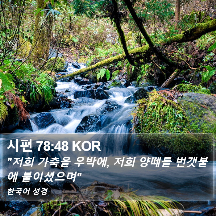 시편 78:48 KOR Bible Study