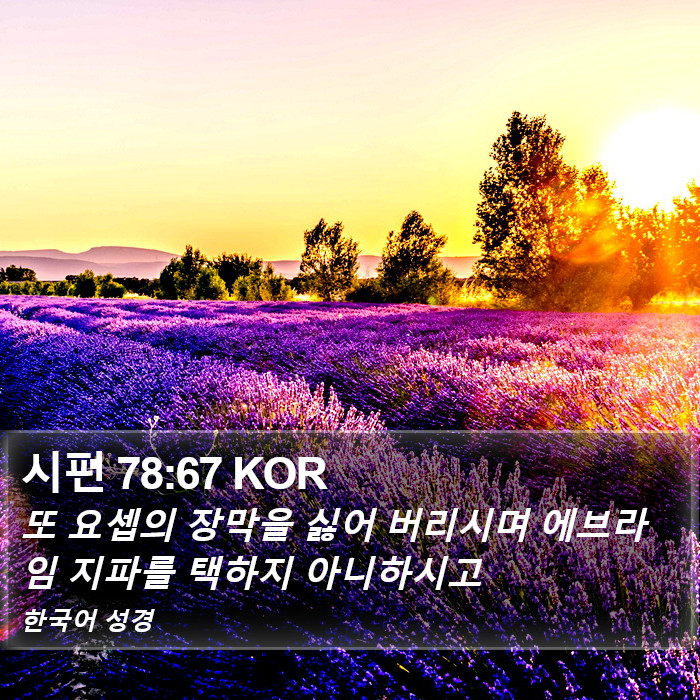 시편 78:67 KOR Bible Study