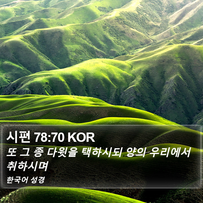 시편 78:70 KOR Bible Study