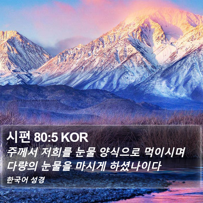 시편 80:5 KOR Bible Study