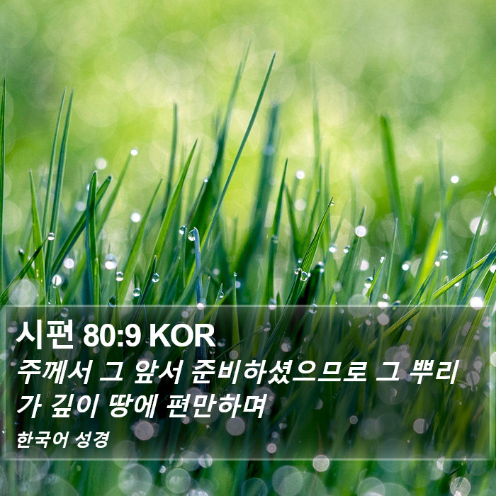 시편 80:9 KOR Bible Study