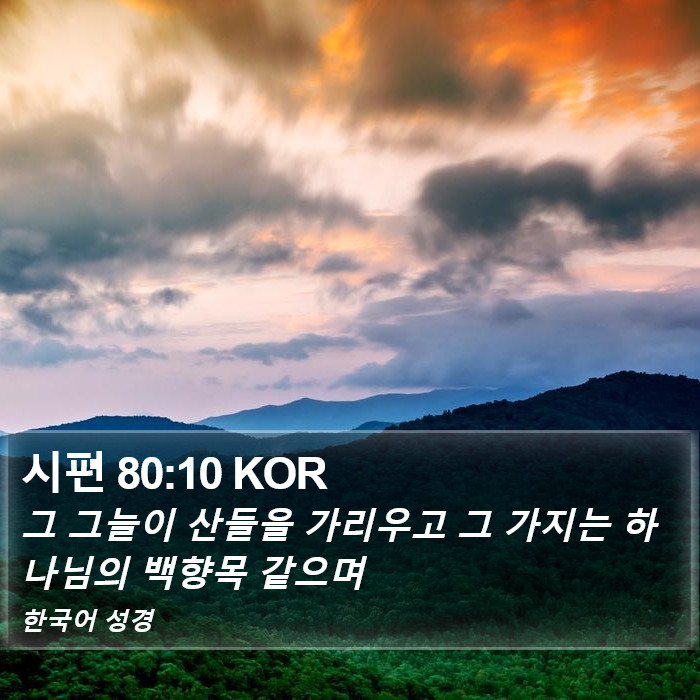 시편 80:10 KOR Bible Study