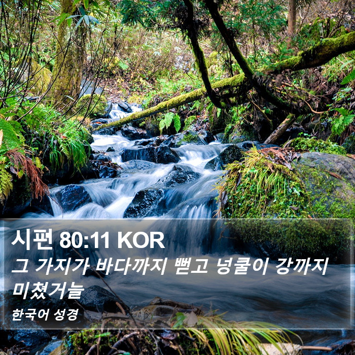 시편 80:11 KOR Bible Study