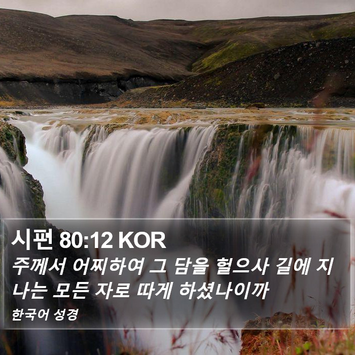 시편 80:12 KOR Bible Study