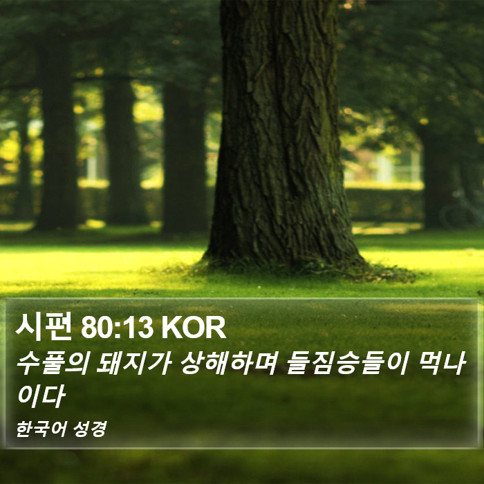 시편 80:13 KOR Bible Study