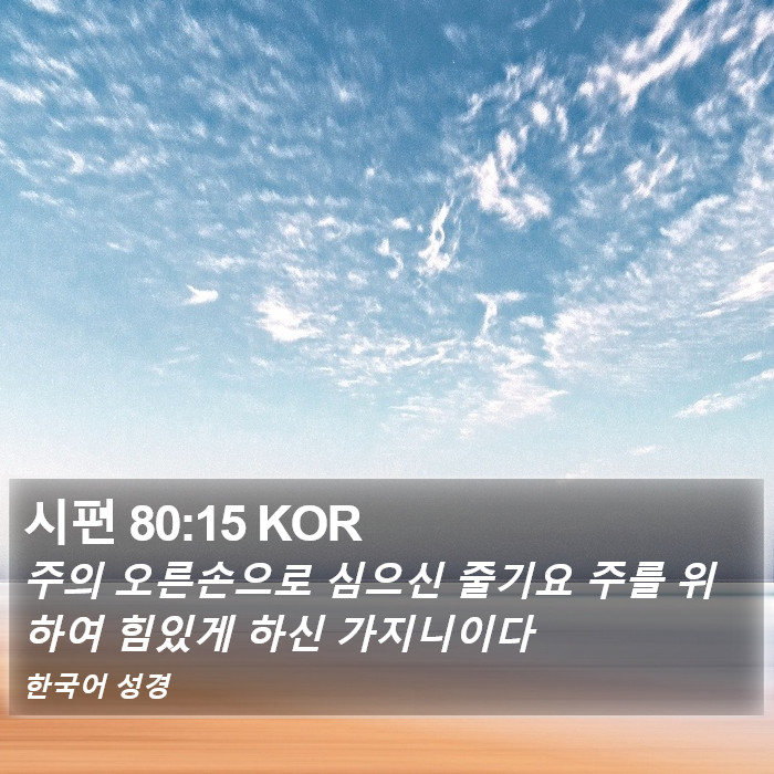 시편 80:15 KOR Bible Study