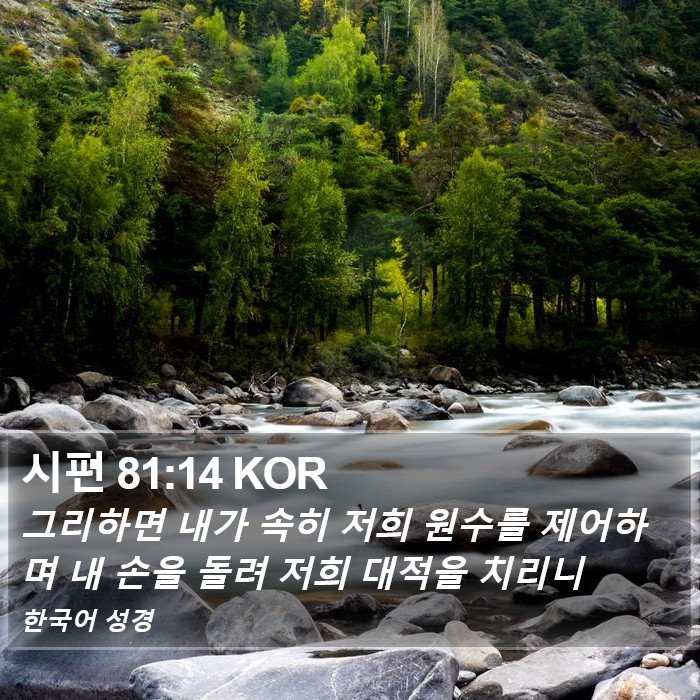 시편 81:14 KOR Bible Study