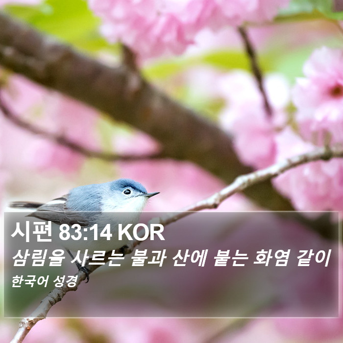 시편 83:14 KOR Bible Study