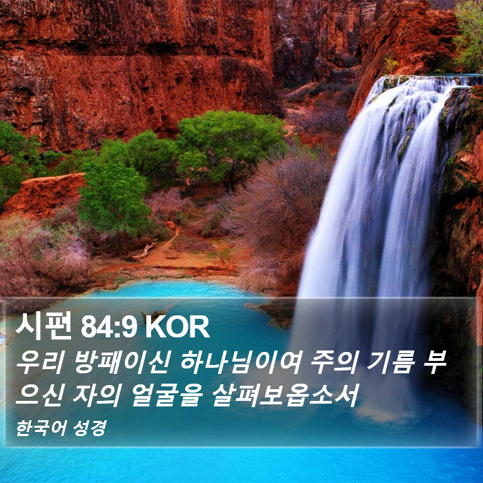 시편 84:9 KOR Bible Study