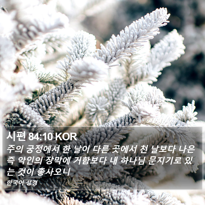 시편 84:10 KOR Bible Study