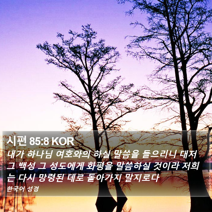 시편 85:8 KOR Bible Study