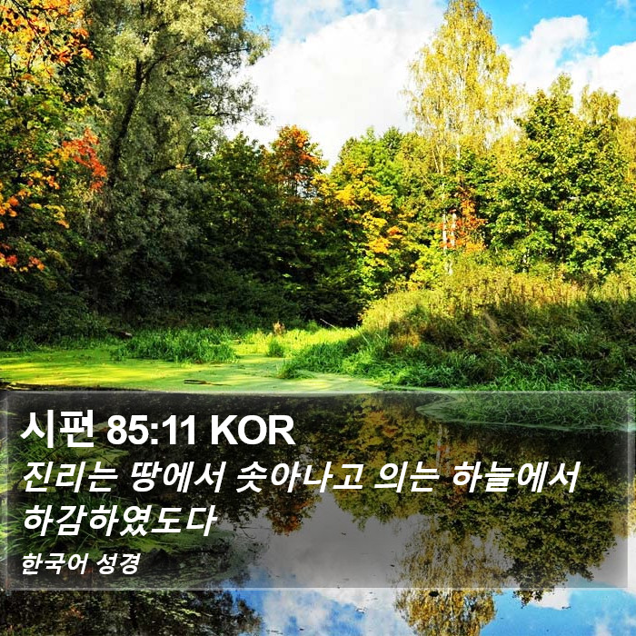 시편 85:11 KOR Bible Study