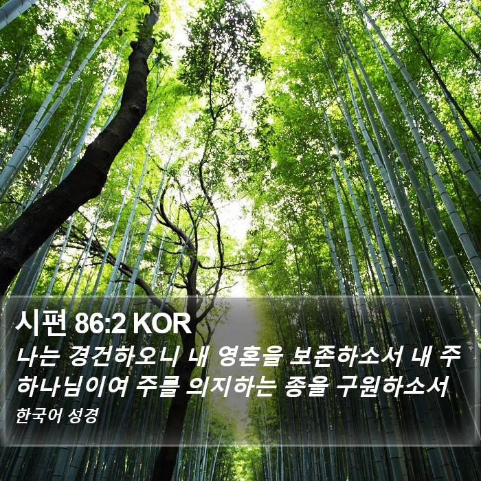 시편 86:2 KOR Bible Study