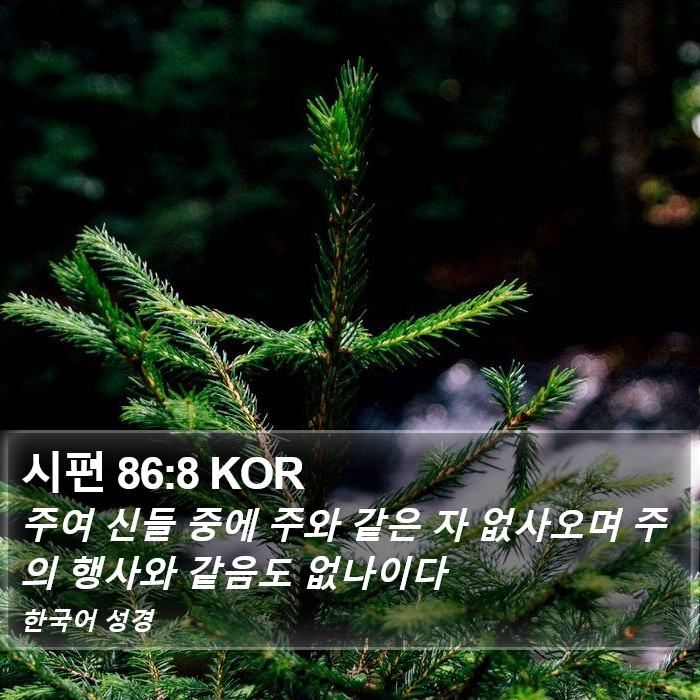 시편 86:8 KOR Bible Study