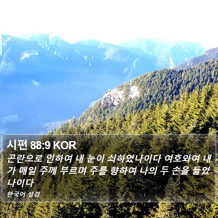 시편 88:9 KOR Bible Study