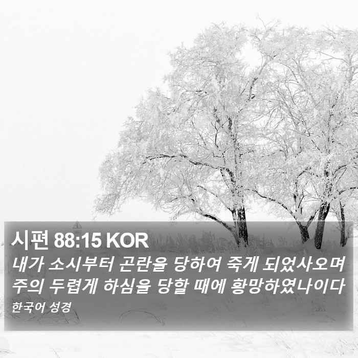 시편 88:15 KOR Bible Study