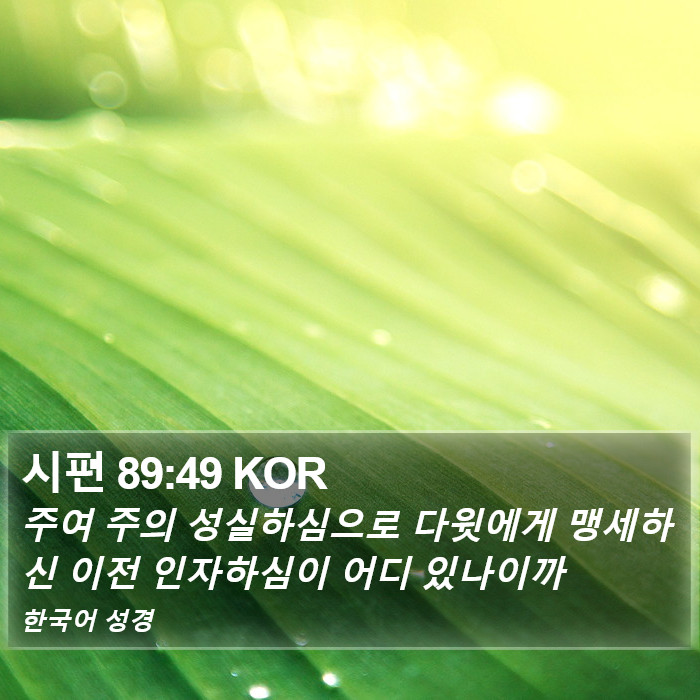 시편 89:49 KOR Bible Study