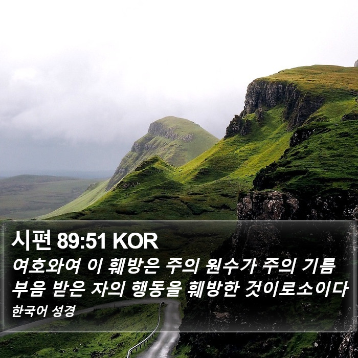 시편 89:51 KOR Bible Study