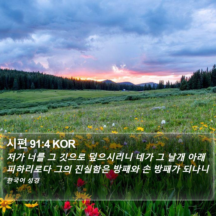 시편 91:4 KOR Bible Study