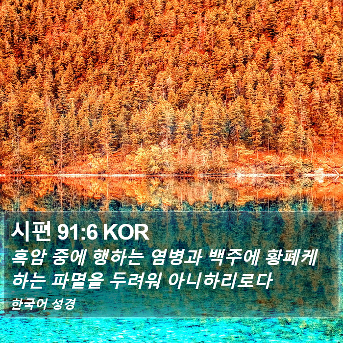 시편 91:6 KOR Bible Study