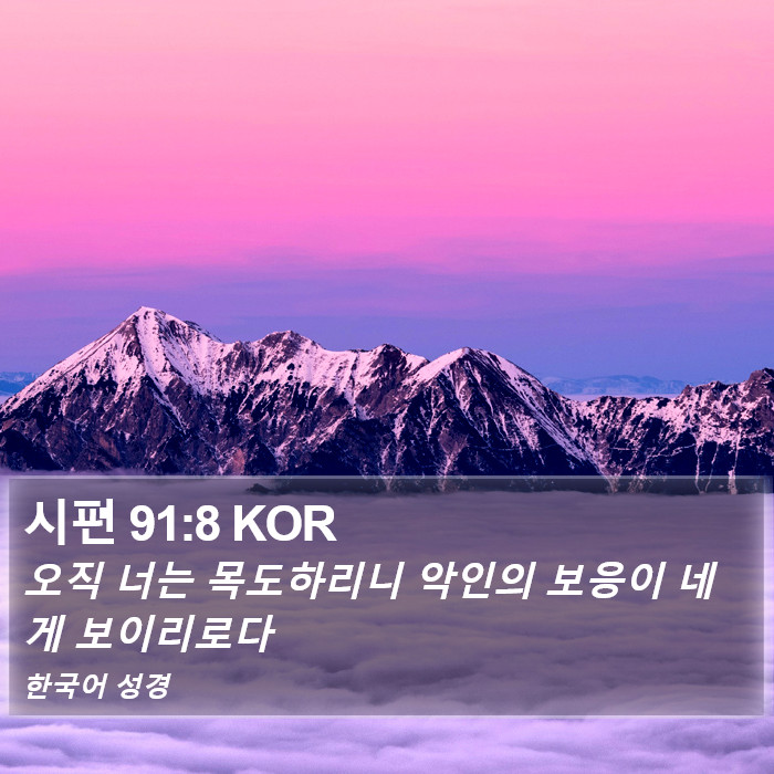 시편 91:8 KOR Bible Study