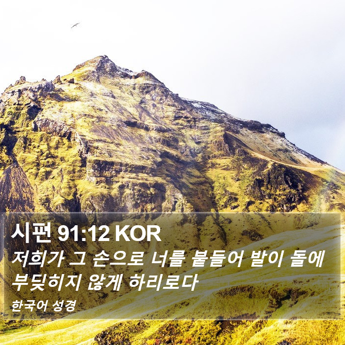 시편 91:12 KOR Bible Study