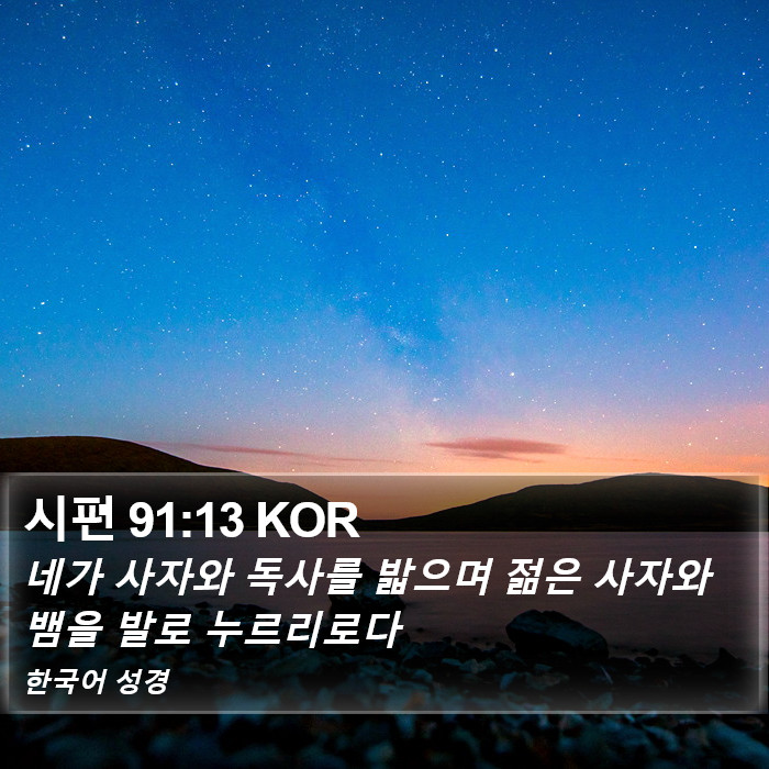 시편 91:13 KOR Bible Study