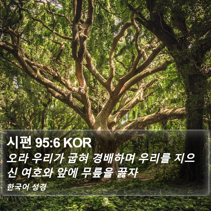 시편 95:6 KOR Bible Study