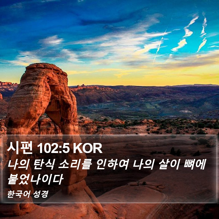시편 102:5 KOR Bible Study