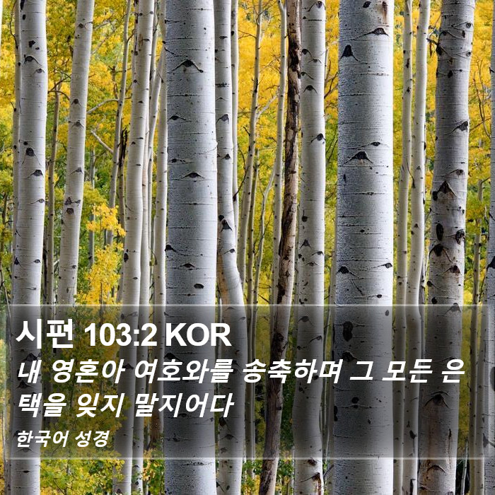 시편 103:2 KOR Bible Study