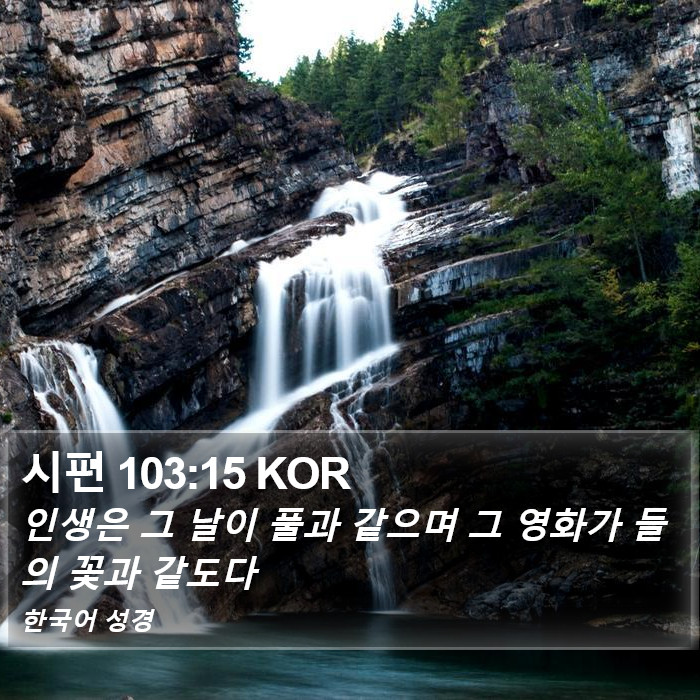 시편 103:15 KOR Bible Study