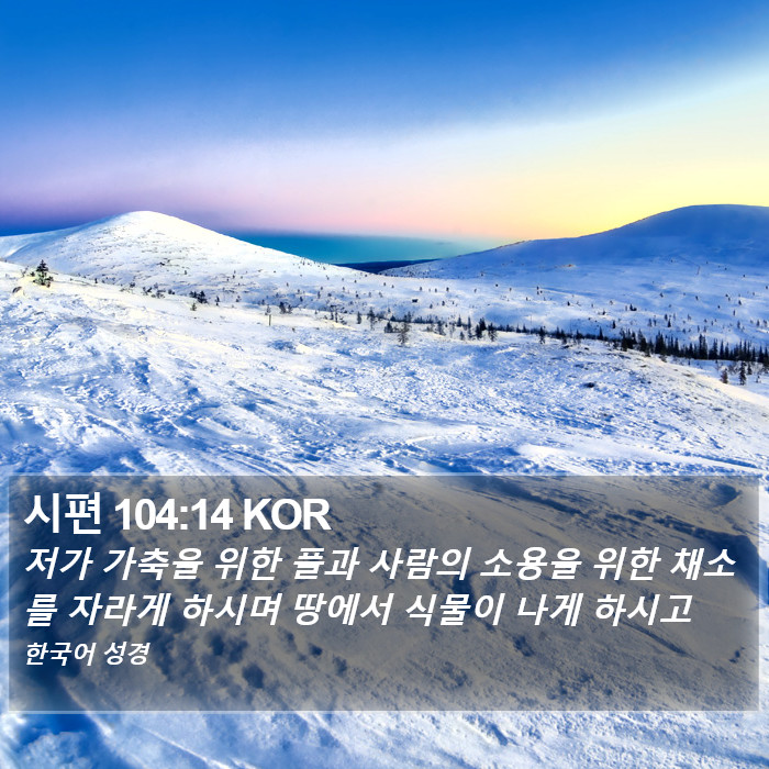 시편 104:14 KOR Bible Study