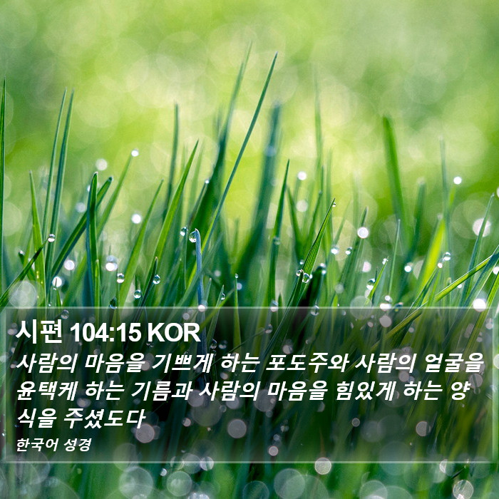 시편 104:15 KOR Bible Study