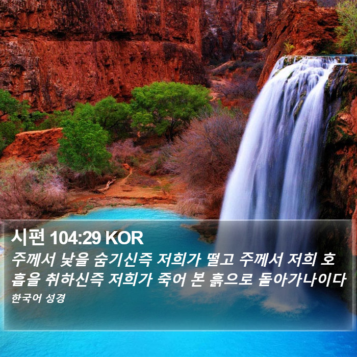 시편 104:29 KOR Bible Study